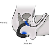 Вибромассажер для стимуляции простаты и точки G